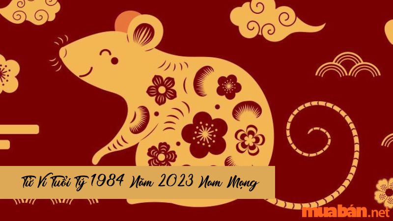 Khám Phá Tử Vi Tuổi Tý 1984 Năm 2023 Đầy Hấp Dẫn
