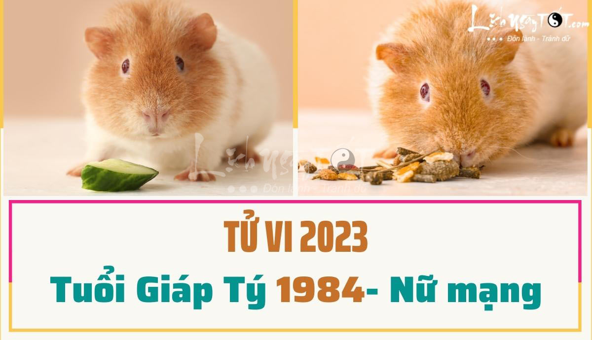 Tử vi tuổi tý 1984 năm 2023 nữ mạng có gì đặc biệt và ý nghĩa?